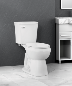 Niagara's Shadow Line: The Best Toilet on the Market - Niagara PRO