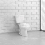 LIBERTY<sup>®</sup> 1.28 GPF 10″ Rough-In Round Toilet